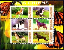 Dogs terrier bouvier usato  Trambileno