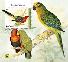 Parrots tropical birds for sale  PONTYPRIDD