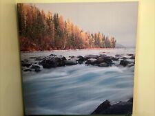 Beautiful nature painting for sale  Washington