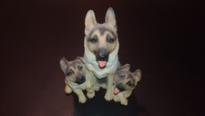 Schöne deutscher schäferhund gebraucht kaufen  Nürnberg