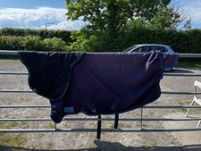 Shires tempest plus for sale  RAYLEIGH