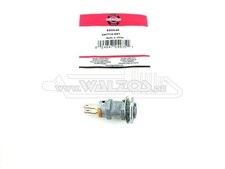 Riginal briggs stratton gebraucht kaufen  Grafenau