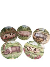 Royal doulton pigs for sale  UK