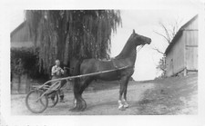 Vtg 1957 standardbred for sale  San Diego