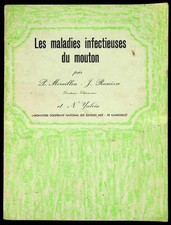 Moraillon ramisse yalcin d'occasion  Villefranche-de-Lauragais