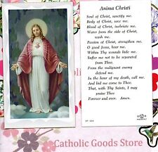 Anima christi paperstock usato  Spedire a Italy