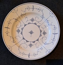 Teller villeroy boch gebraucht kaufen  Schwetzingen