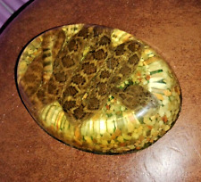 Rare real diamondback for sale  Prospect