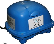 Evolution aqua koi for sale  COVENTRY