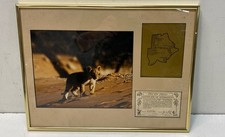 Africa photography lion for sale  Los Angeles
