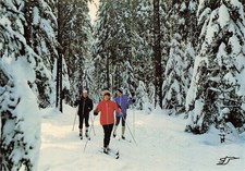 Vosges ski fond d'occasion Vosges ski fond d'occasion  France