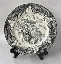 Birds america john for sale  CARDIFF