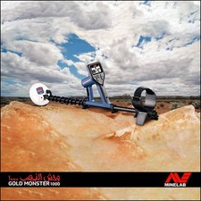 Metal detector gold usato  Tortoreto