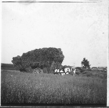 Chambly 1900 attelage d'occasion  Ballon