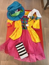 Vestito bambina carnevale usato  Sassuolo
