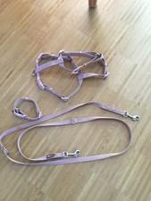 Hundeleine halsband altrosa gebraucht kaufen  Deutschland