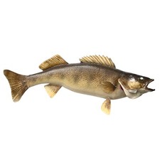 Vintage large walleye for sale  Sturgeon Bay