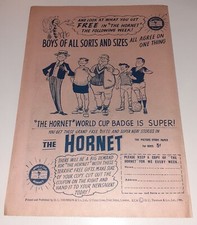 Hornet rare cup for sale  HERTFORD