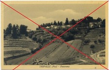 Tripalle cartolina formato usato  Lucca