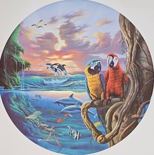 Jim warren paradise for sale  San Diego