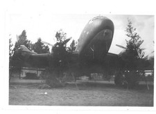 Oryginalne zdjęcie: nieznane Junkers Ju 90 skąpe zamaskowane krzewami na sprzedaż  Wysyłka do Poland