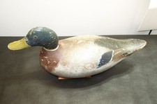 Wisconsin drake mallard for sale  Oshkosh