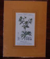 Dizionario delle scienze usato  Arezzo