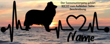 Aufkleber hund collie gebraucht kaufen  Munster