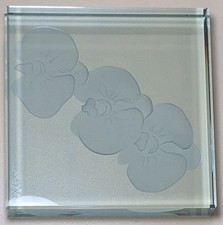 Mary anderson orchid for sale  Post Falls