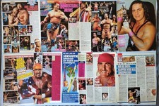 Hulk hogan wwf gebraucht kaufen  Frankfurt am Main