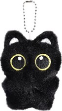 Fluffy black cat for sale  CHESTERFIELD