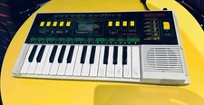 Bontempi 313 rare usato  Crema