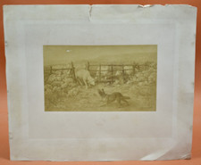 Photogravure xixème chien d'occasion  Châtillon-sur-Indre