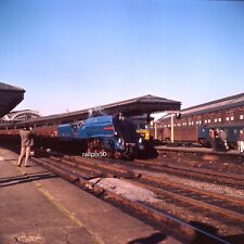 Original larger railway for sale  DRIFFIELD