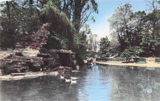 Saint omer jardin d'occasion  France