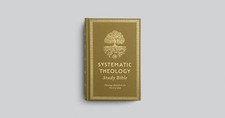 Esv systematic theology for sale  UK