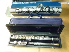 Trevor james tj10x for sale  GRANTHAM