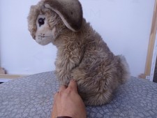 Steiff tier hase gebraucht kaufen  Baden-Baden