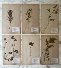 Set rare vintage for sale  LONDON