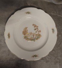 Assiette plate vieux d'occasion  Wittenheim