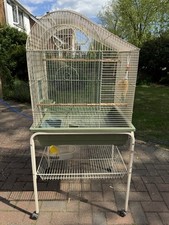 Medium aviary bird for sale Medium aviary bird for sale  BEDFORD