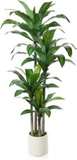 Artificial dracaena tree for sale  SALFORD
