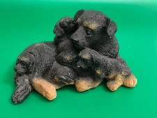 Rottweiler mother puppies for sale  Encino