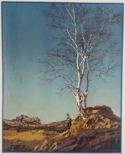 Birch tree harvesting for sale  Alhambra