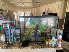 Top fin fish for sale Top fin fish for sale  Apple Valley