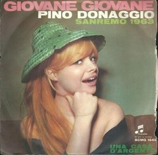 Disco giri pino usato  La Morra