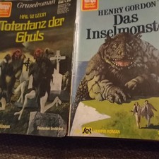 Vampir horror roman gebraucht kaufen  Neuwied