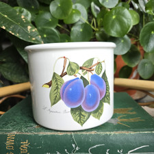 Portmeirion planter plant for sale Portmeirion planter plant for sale  BROMLEY