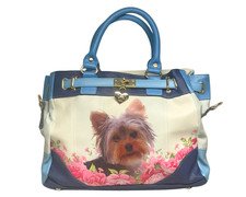 Bradford yorkie playful for sale  Winchester