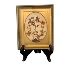 Vtg dried flower for sale  High Point
